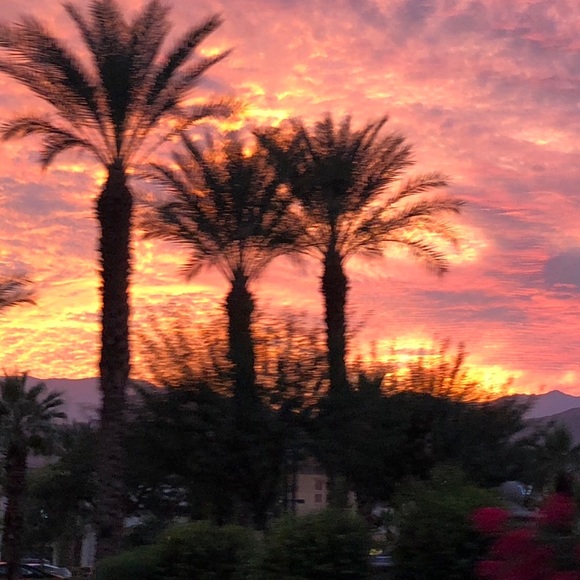 Meet your Posher, Jane - Picture 1 of 1